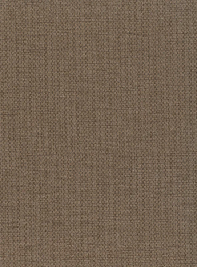 Performance Vinyl wallcovering V020P1359, Sienna design — surface texture