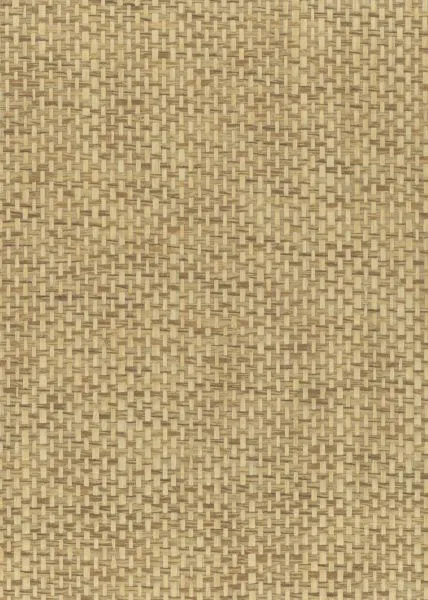 Cookie Dough — paper weave wallcovering, SKU CK-DGH