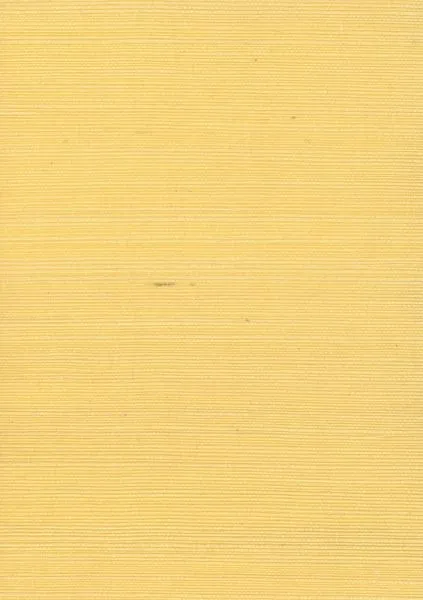 Wild Honey — sisal wallcovering, SKU WLD-HNY