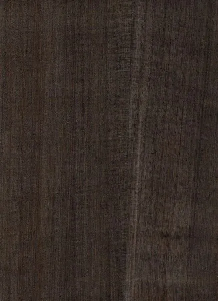 Charred Timber — wood veneer wallcovering, SKU CHR-TMB