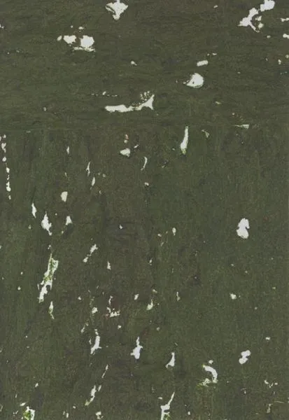 Mystic Pine — cork wallcovering, SKU MYS-PN
