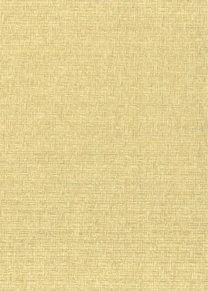 Coastal Straw — paper weave wallcovering, SKU CST-STR