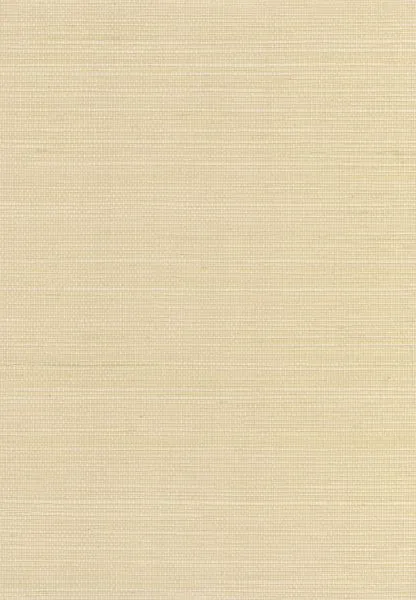 Turtle Dove — sisal wallcovering, SKU TRT-DV
