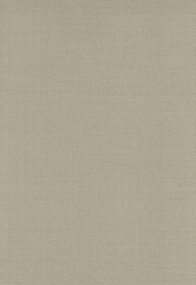 Performance Vinyl wallcovering V020P1337, Sienna design — surface texture