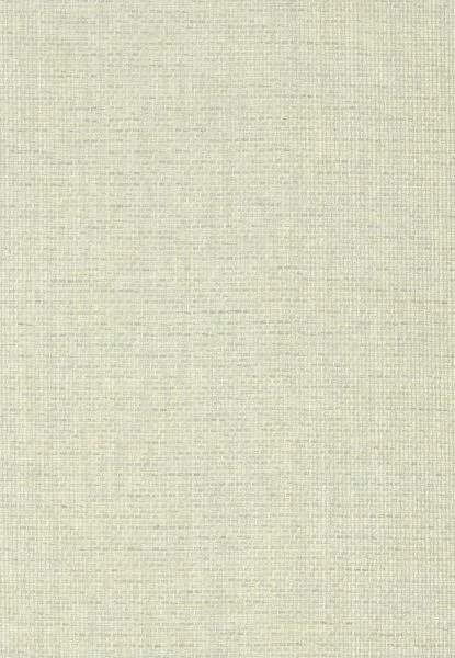 Custard Tart — paper weave wallcovering, SKU CST-TRT