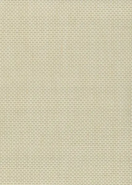 Olive — paper weave wallcovering, SKU LV1