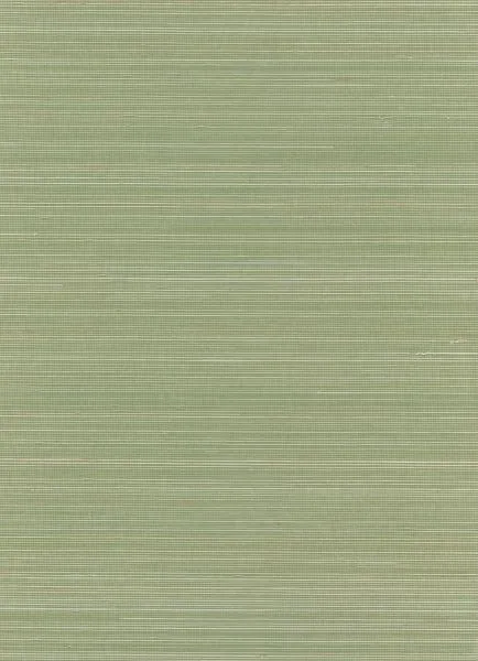 Emerald Canopy — abaca wallcovering, SKU MRL-CNP