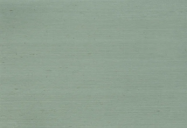 Gecko sisal wallcovering — John Mark Naturals