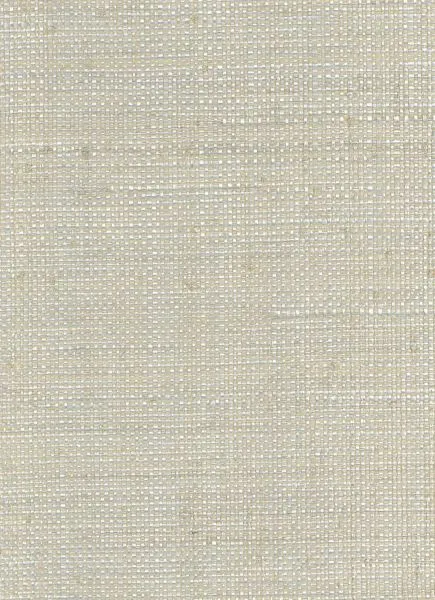 Rhino — raffia wallcovering, SKU RHN