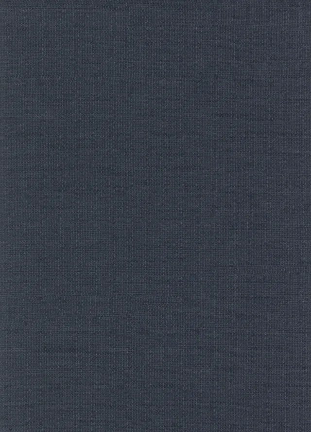 Performance Vinyl wallcovering V020P1341, Sienna design — surface texture