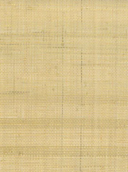 Sand Cat — raffia wallcovering, SKU SND-CAT