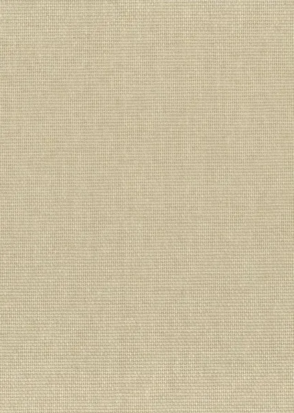 Ocean Pearl — paper weave wallcovering, SKU CN-PRL
