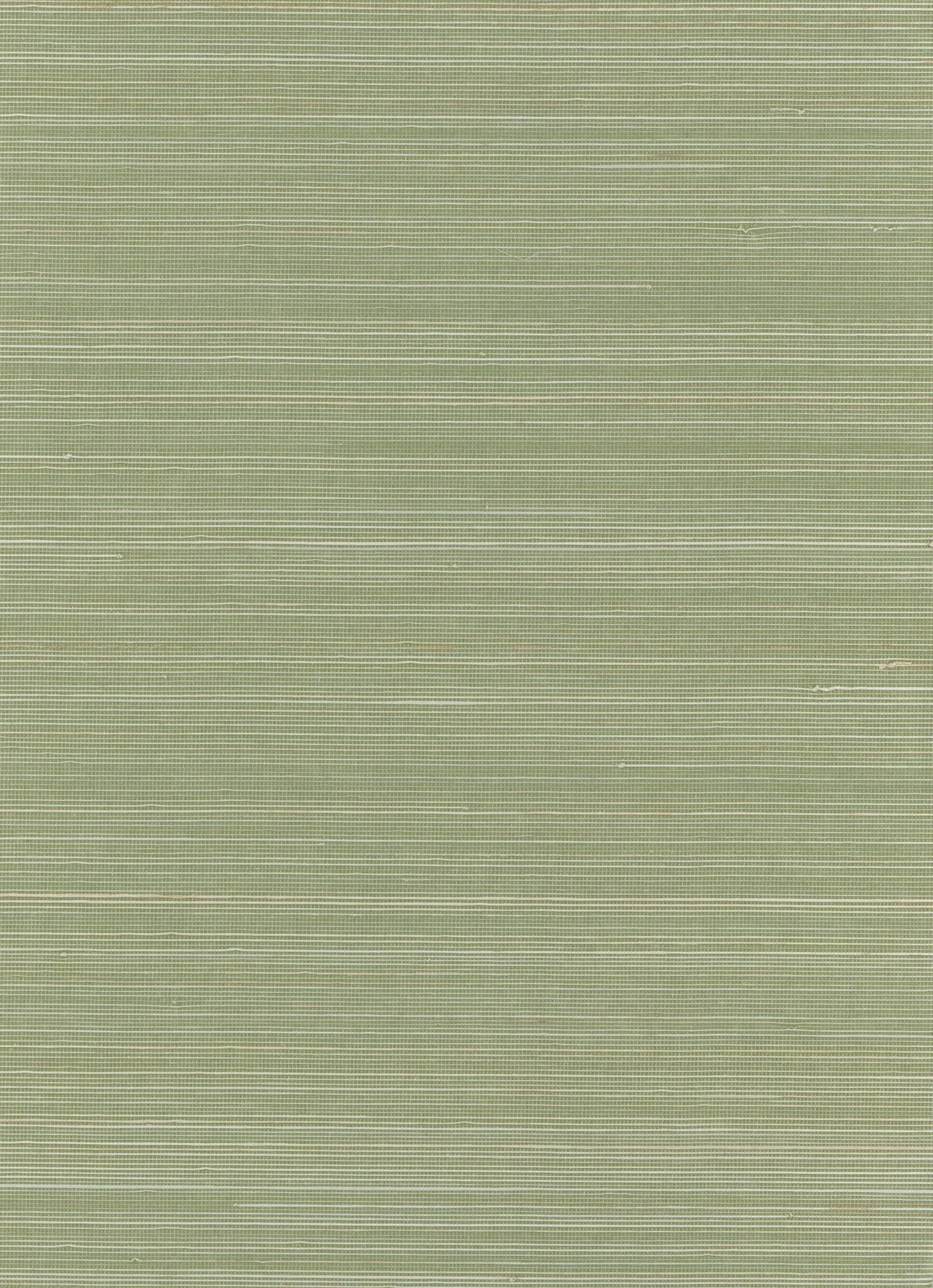 Close-up of a soft sage-green abaca wallcovering with fine horizontal fibres and subtle tonal variation