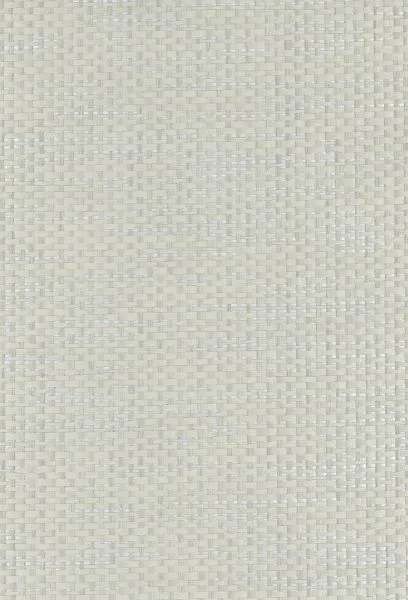 Bone Matrix — paper weave wallcovering, SKU BN-MTR