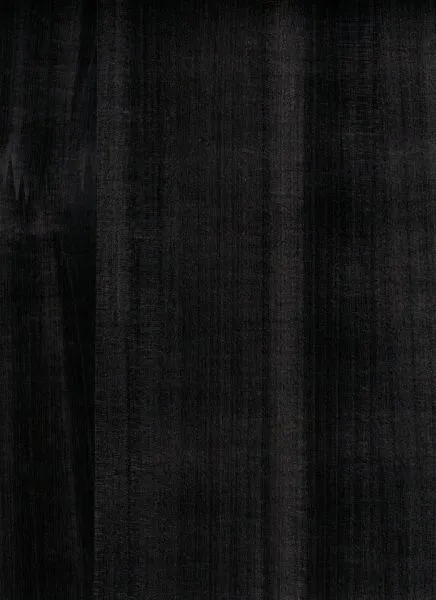 Olive Tree — wood veneer wallcovering, SKU LV-TR