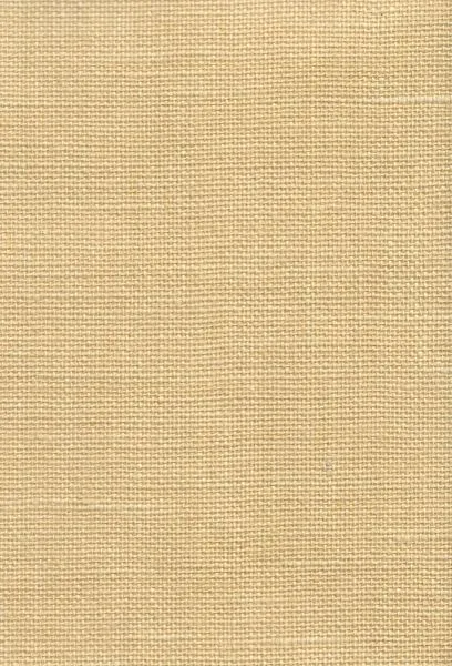 Hayfield — jute wallcovering, SKU HYF