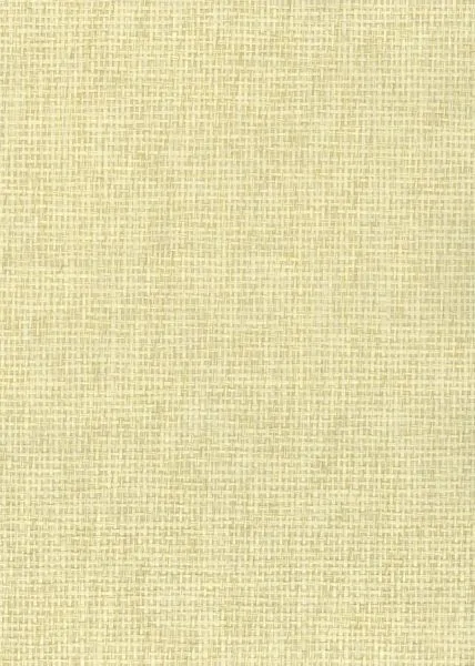 Beach Bay — paper weave wallcovering, SKU BCH-BAY
