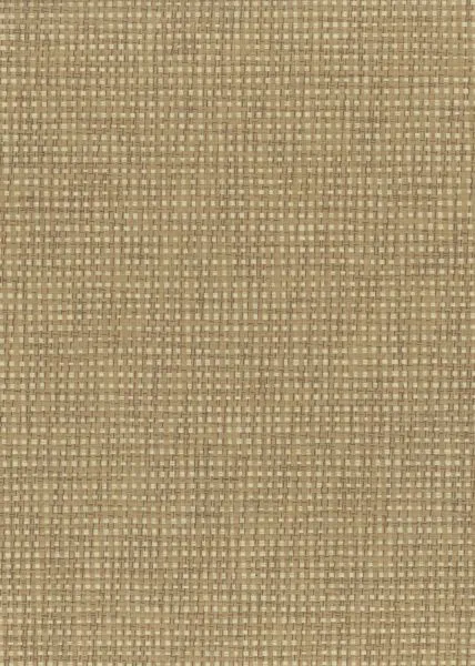 Ginger Weave — paper weave wallcovering, SKU GNG-WV