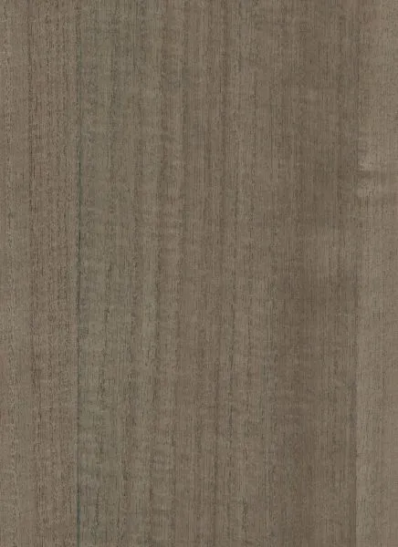 Silver Birch — wood veneer wallcovering, SKU SLV-BRC