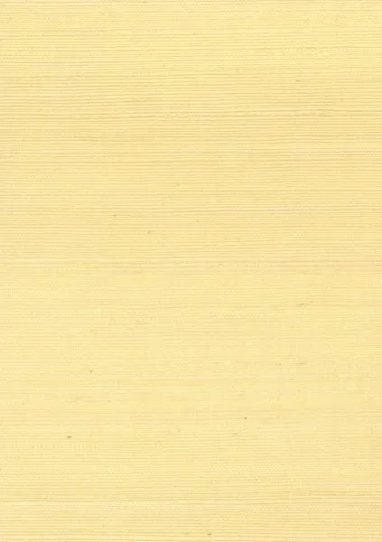 Golden Finch — sisal wallcovering, SKU GLD-FNC