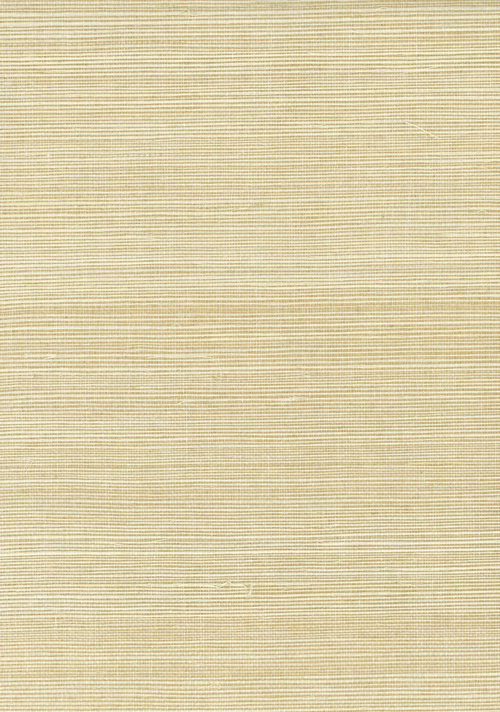 Close-up of a pale sand sisal wallcovering showing its fine, even horizontal weave and natural fibre slubs
