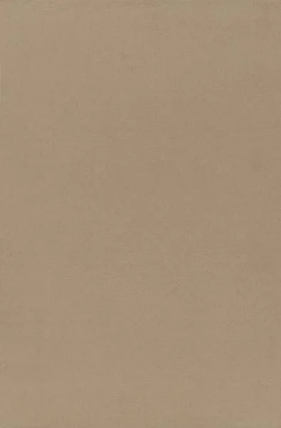 Camel — suede wallcovering, SKU CML