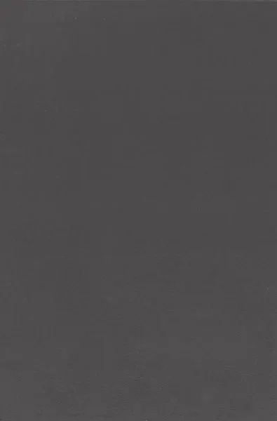 Black Panther — suede wallcovering, SKU BLC-PNT