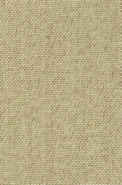 Armadillo — paper weave wallcovering, SKU CBR