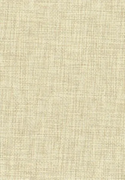 Pampas Grass — paper weave wallcovering, SKU PMP-GRS