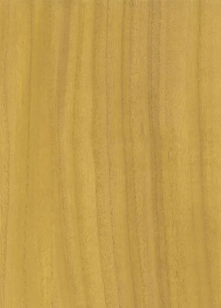 English Yew — wood veneer wallcovering, SKU NGL-YEW