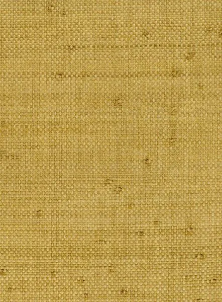 African Lion — raffia wallcovering, SKU FRC-LN
