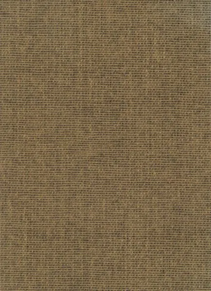 Great Sphinx — paper weave wallcovering, SKU GRT-SPH