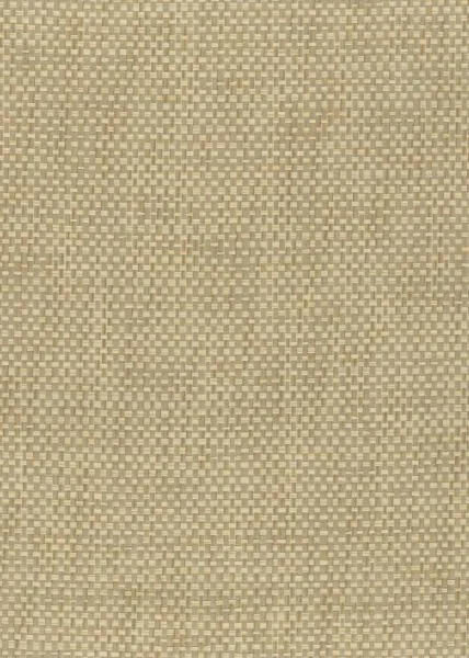 Rattle Snake — paper weave wallcovering, SKU RTT-SNK