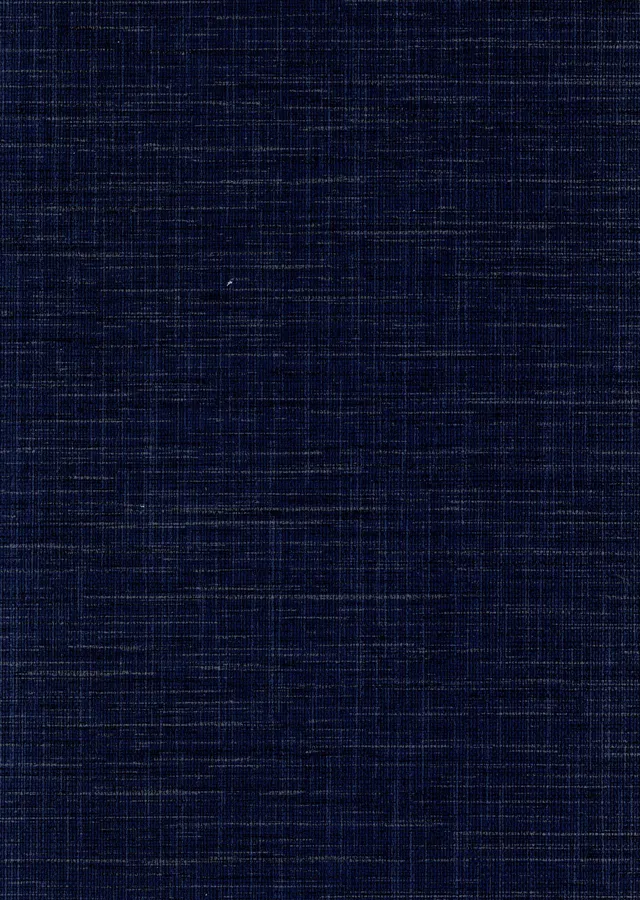 Performance Vinyl wallcovering V020P1404, Beacon design — surface texture