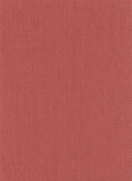 Salmon — paper weave wallcovering, SKU SLM