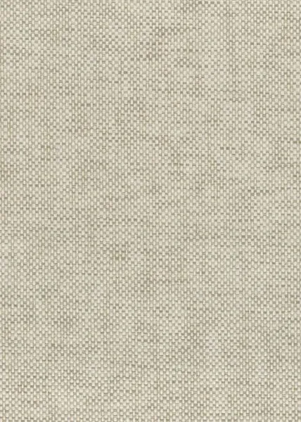 Sardine — paper weave wallcovering, SKU SRD