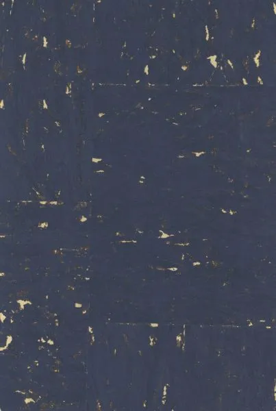 Milkyway Galaxy — cork wallcovering, SKU MLK-GLX