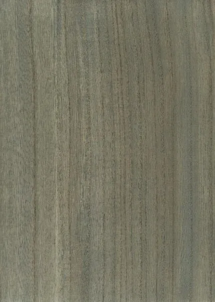 Evergreen — wood veneer wallcovering, SKU VRG