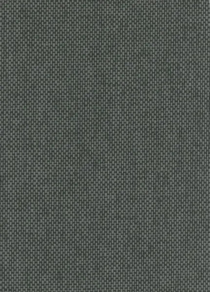 Black Adder — paper weave wallcovering, SKU BLC-DDR