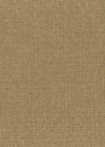 Acorn — paper weave wallcovering, SKU CRN1