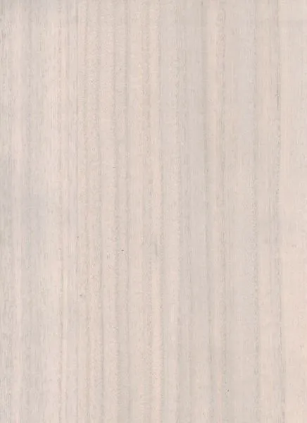 Soft Maple — wood veneer wallcovering, SKU SFT-MPL