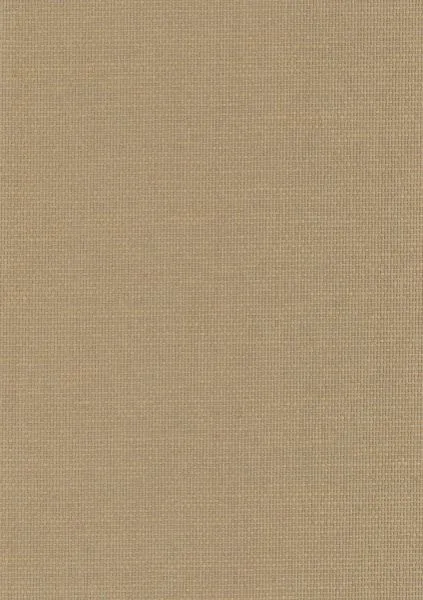 Curry Leaf — paper weave wallcovering, SKU CRR-LF